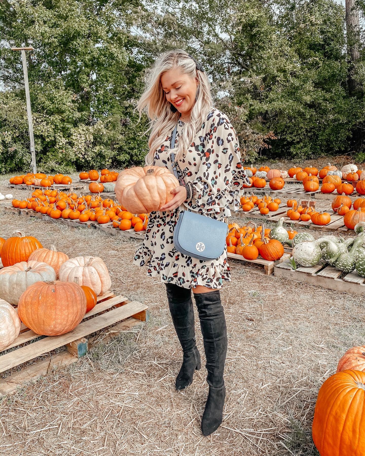 October Instagram Recap – Whitney Rife